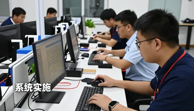 高效管理管理软件系统实施:从入门到明白